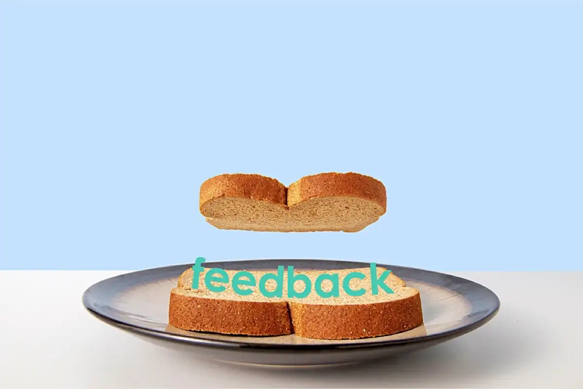 Sandwich with the word feedback in the middle - Happy Mind Training Blog | Effective Feedback