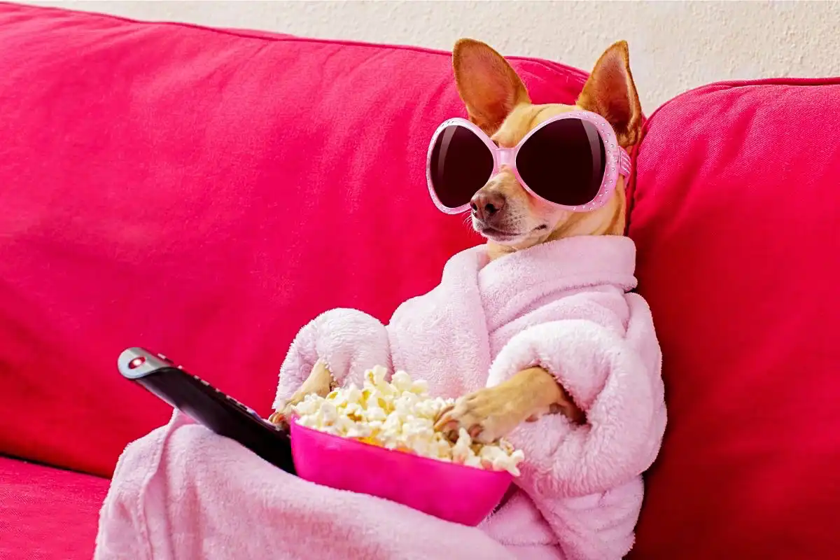 Dog in a pink bathrobe and wearing pink glasses eating popcorn and watching TV - Happy Mind Training Blog | Lost Art of Doing Nothing