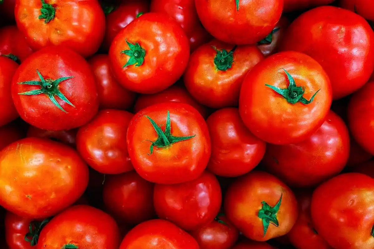 A bunch of tomatoes - Happy Mind Training Blog | The Power of the Pomodoro Technique